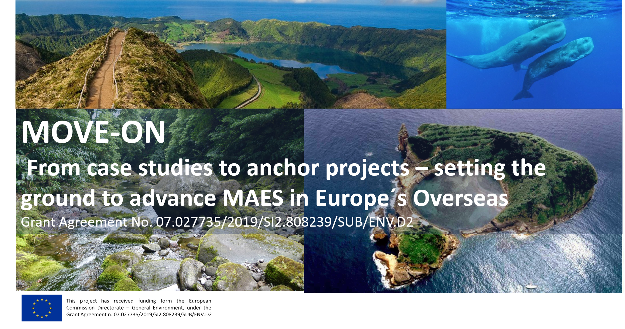 Governo dos Açores coordena projeto de apoio à implementação da Estratégia de Biodiversidade da União Europeia